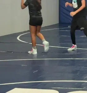3F Wrestling