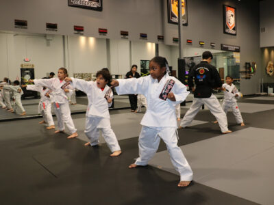TIGER SUN MARTIAL ARTS FRISCO / KARATE TAEKWONDO