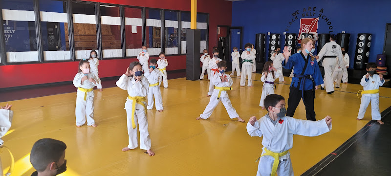 America's Best Karate