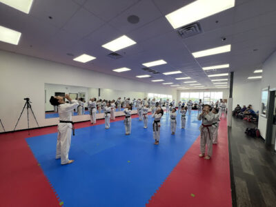 World Class Tigers Taekwondo(formerly Tiger Hong’s World Class Taekwondo)