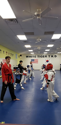 S J Lee's White Tiger Martial