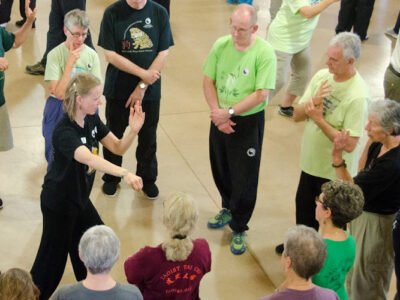 Taoist Tai Chi Society of the USA