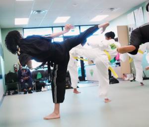 Premier Martial Arts of West Katy/Fulshear