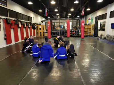 Dominion MMA®