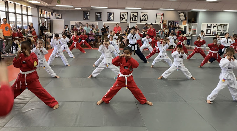 YONGIN LEE'S MARTIAL ARTS