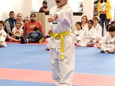Cheon's Tiger TaeKwonDo
