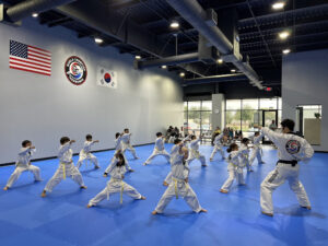 Master D Choi's World Champion Taekwondo