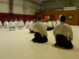 Aikido At The Aikibudokan