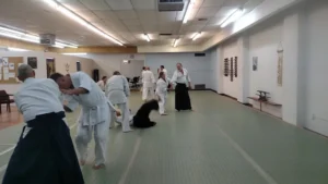 Aikido of El Paso