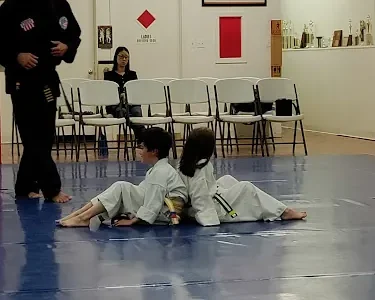 American Academy of Martial Arts