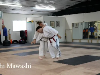 Aoki Dojo