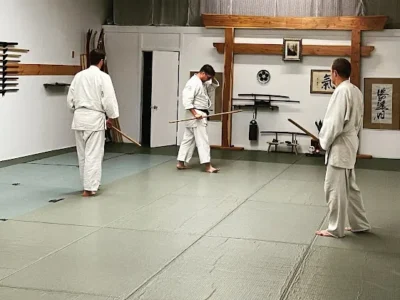 Austin Ki-Aikido