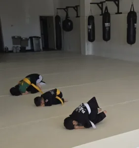 Bears Karate International