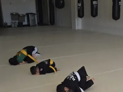 Bears Karate International