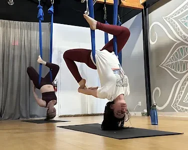 Body Synergie
