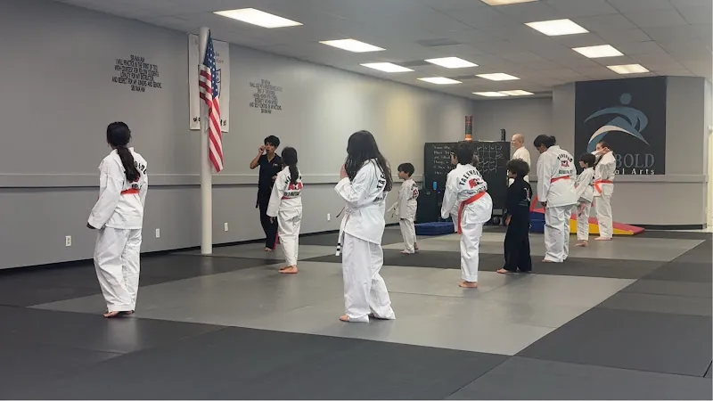 Bold Martial Arts