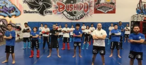 Bushido MMA and BJJ Academy