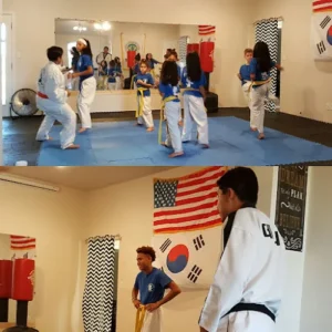 Cougar Tae Kwon Do LLC