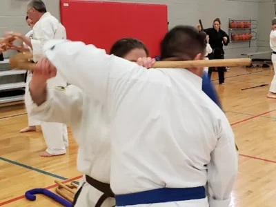 DMD Tae Kwon Do LLC