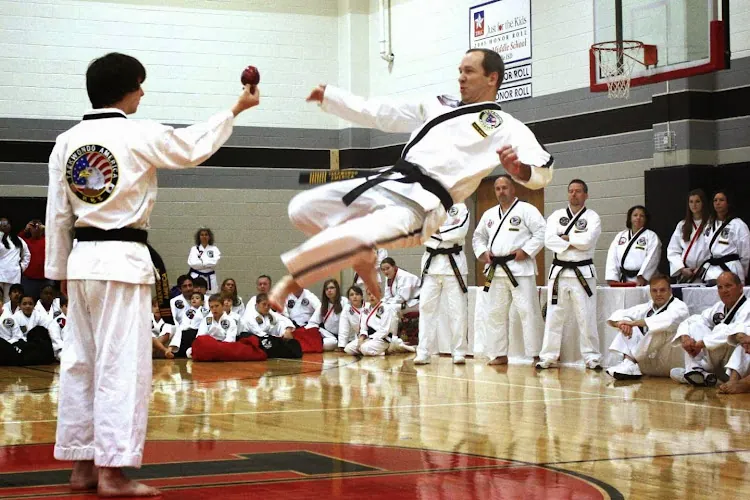 Davis Taekwondo America