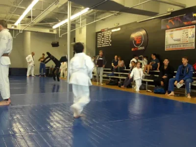 Elite Mixed Martial Arts - Westchase