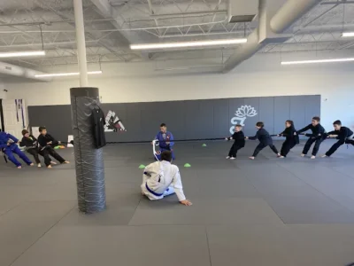 Finesse Jiu Jitsu