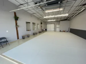 Free World Jiu Jitsu
