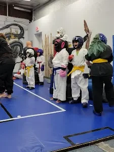 Grandmaster BSAK Karate Academy