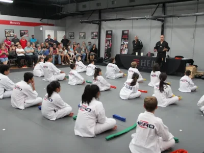 HERO Martial Arts Academy - 2920