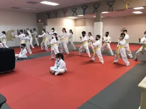 KuGar Taekwondo