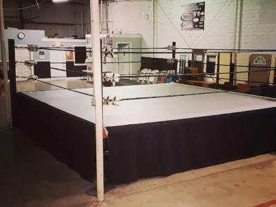 League of Lions Wrestling