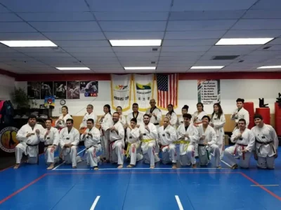 MARTIAL ARTS TAEKWONDO ARLINGTON