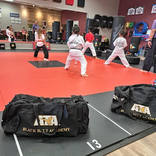 Maldonado ATA Martial Arts