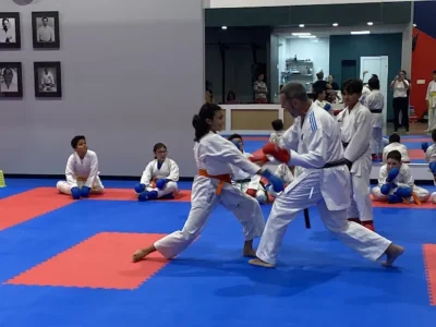 Miyagi Ken International Academy