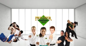 Premier Martial Arts Harlingen