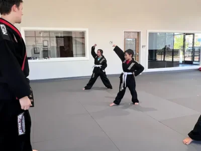 Professional Black Belt Academy - McKinney