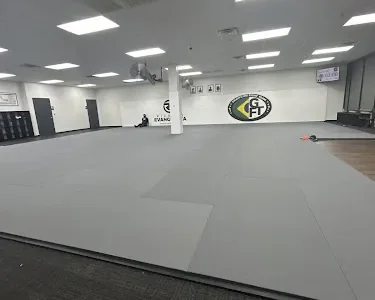 Raízes Brazilian Jiu Jitsu