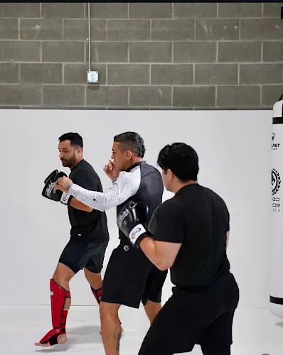 Renzo Gracie Heights