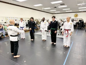 Reveal Martial Arts Haslet