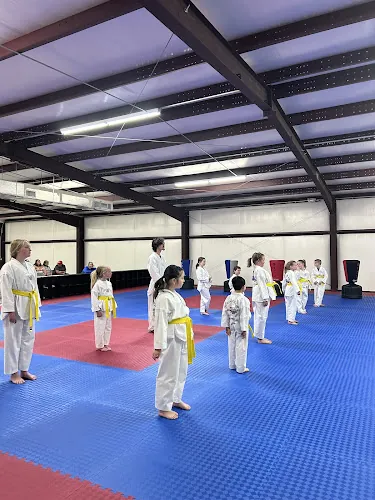 SPRING BRANCH TAEKWONDO