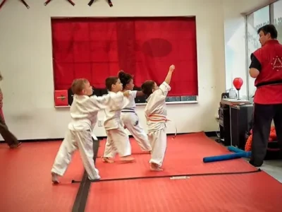 Self Defense 4U Martial Arts