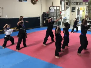 Shaolin WuShu Kung Fu LLC