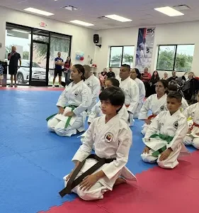 Shin Ku Karate