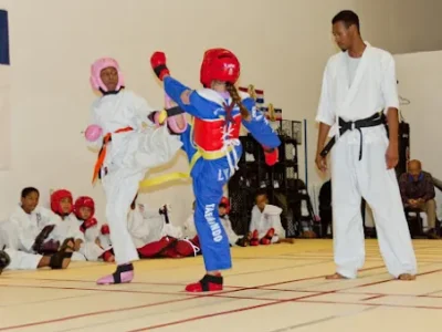 Taekwondo Athletes Program Coaching and Training USA