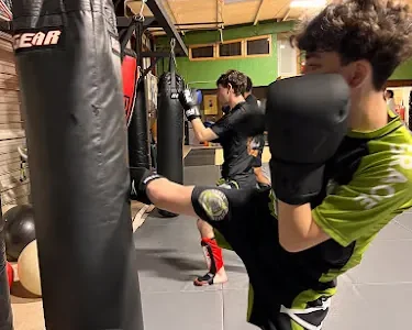 Urban Jungle Self Defense