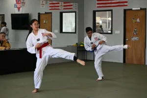 Vonnacher Taekwondo Pflugerville