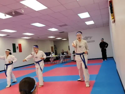 WARRIORS TAEKWONDO TEAM