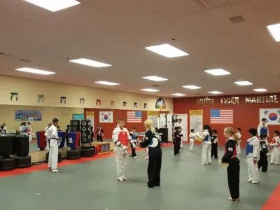 White Tiger Taekwondo
