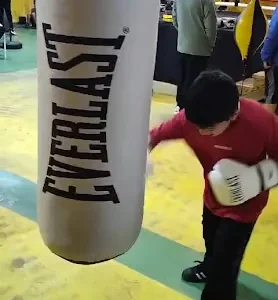 estrellas del box