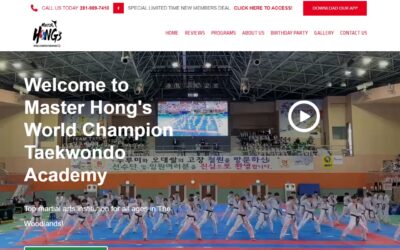 Master Hong's World Champion Taekwondo